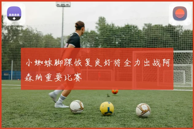 小蜘蛛脚踝恢复良好将全力出战阿森纳重要比赛