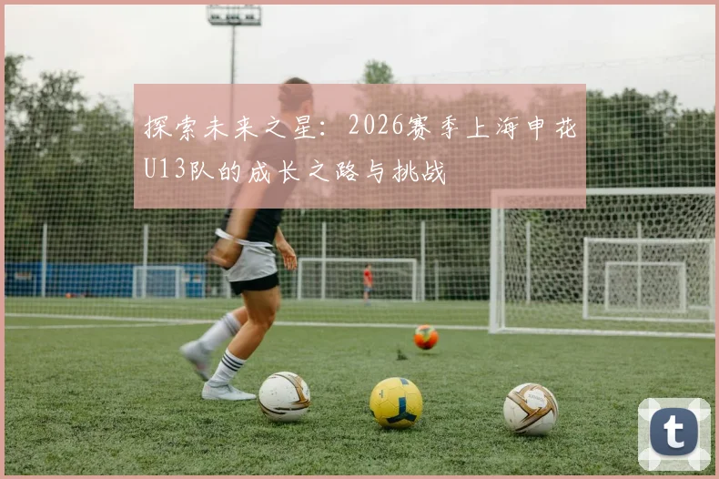 探索未来之星：2026赛季上海申花U13队的成长之路与挑战