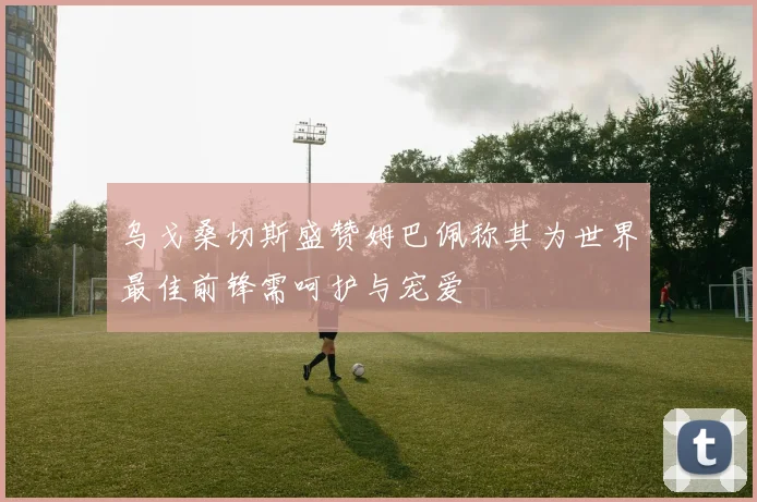 乌戈桑切斯盛赞姆巴佩称其为世界最佳前锋需呵护与宠爱